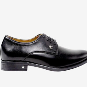 [DERBY] Giày Derby Pierre Cardin - PCMFWLG 750